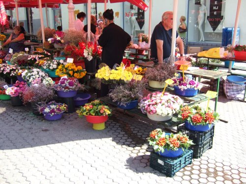 DOLAC Flower Market -Marché aux fleurs